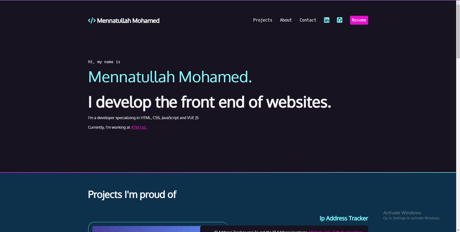 Screenshot of the Portfolio.